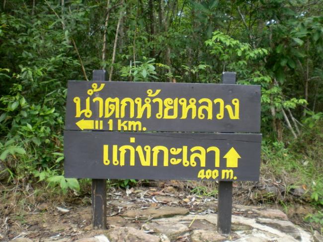 SANY7173.jpg